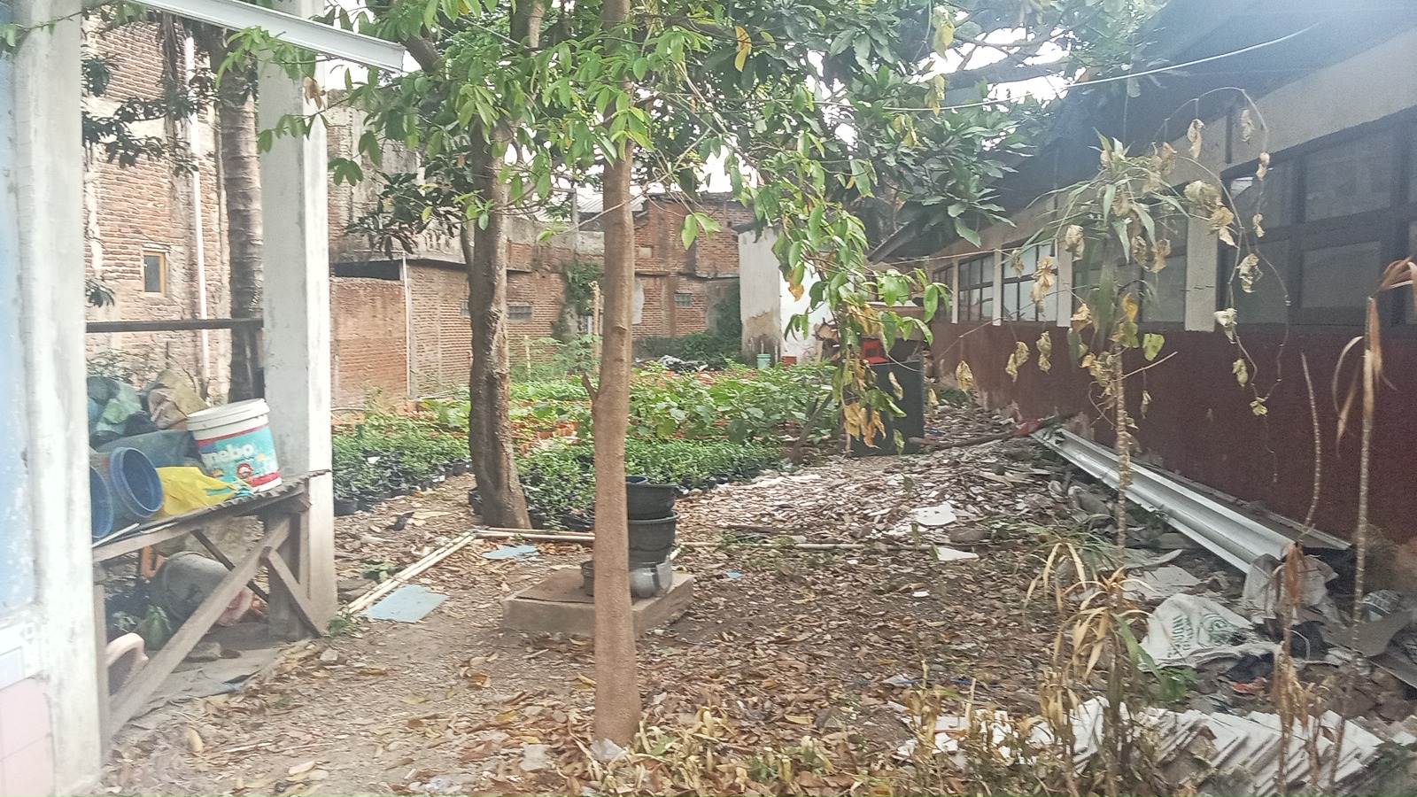 Halaman Belakang Gedung D