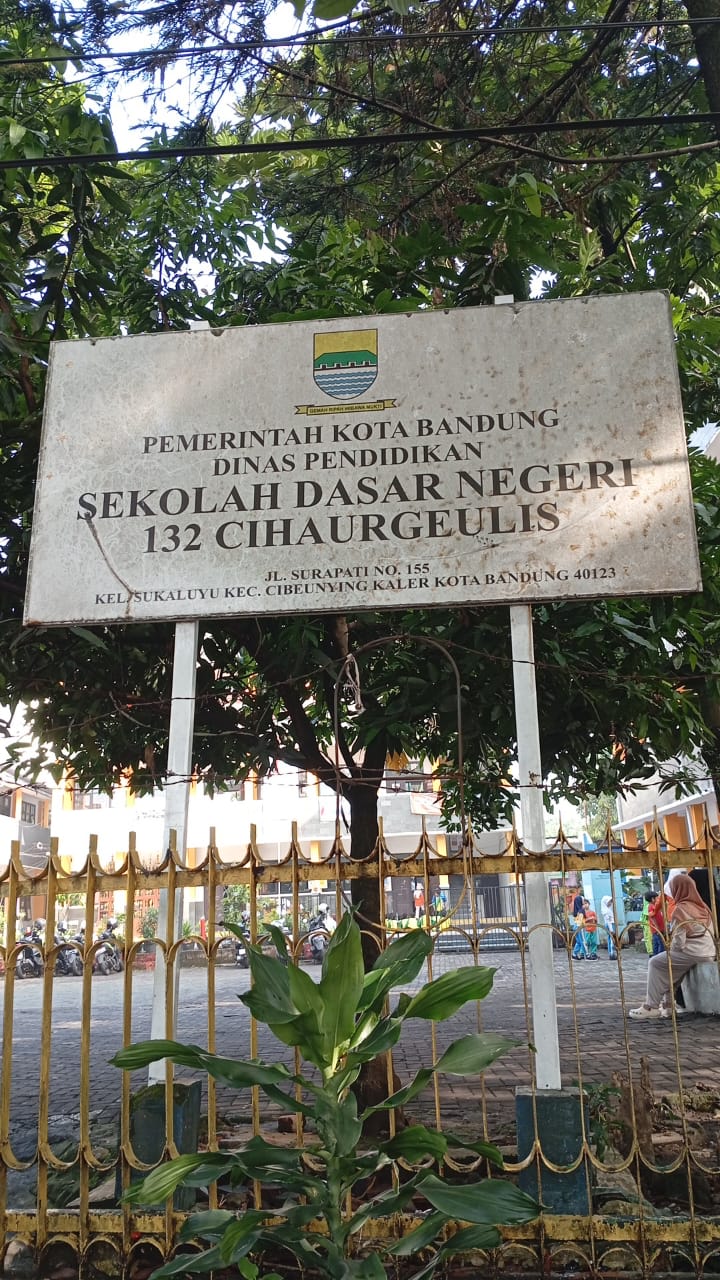 Plang SDN